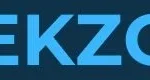 Tekzoid logo